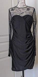 Sheer Long Sleeve mini dress